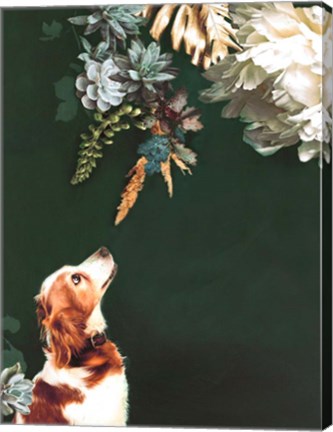 Framed Pet Couture 1 Print