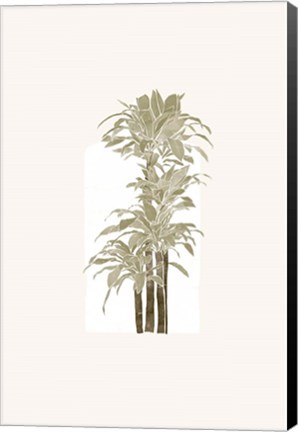 Framed Tropical Window 5 Print