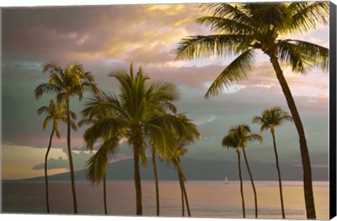 Framed Hawaii Palm Sunset No. 1 Print