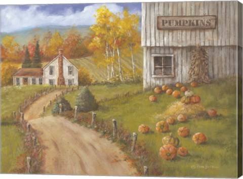 Framed Harvest Pumpkin Farm Print