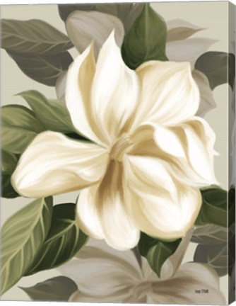 Framed Magnolia Blossoms II Print