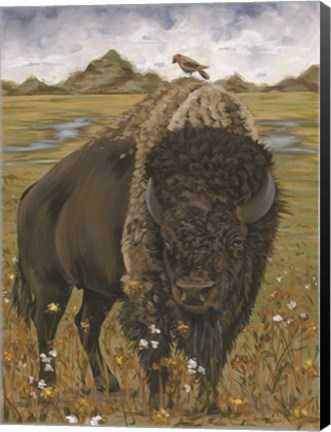 Framed Bison Print