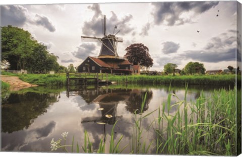 Framed Beauty in the Sky Print