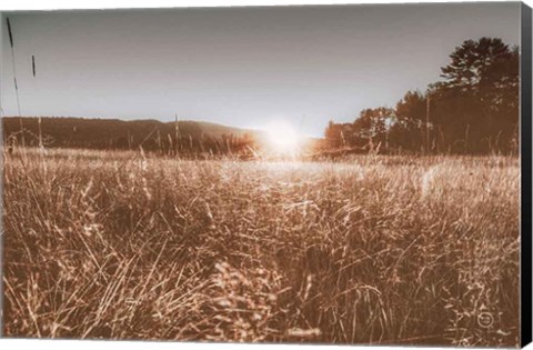 Framed Fields of Gold Print