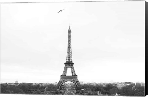 Framed Birds View of Paris Crop I Print