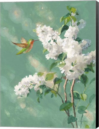 Framed Hummingbird Spring I Print