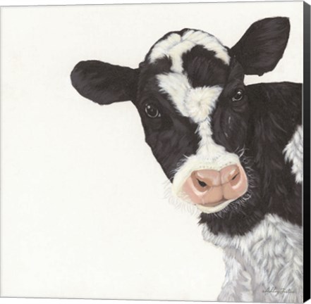 Framed Cow Print