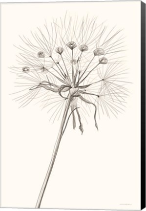 Framed Moments Print