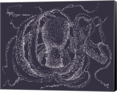 Framed Octo Scribble Print