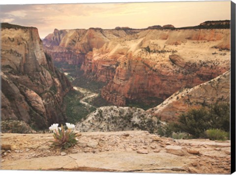 Framed Zion Desert Life Print