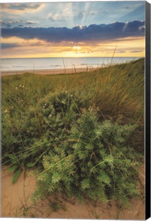 Framed Dutch Dunes Print