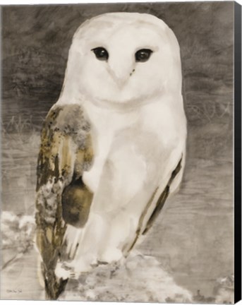 Framed Snowy Owl 1 Print