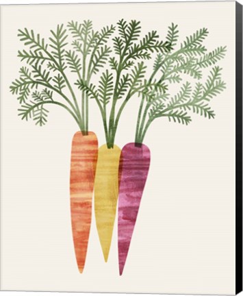 Framed Organic Veg III Print