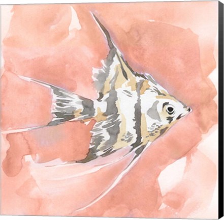 Framed Blush and Ochre Angel Fish I Print