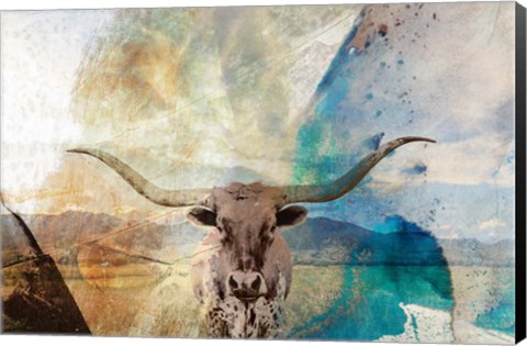 Framed Longhorn Print