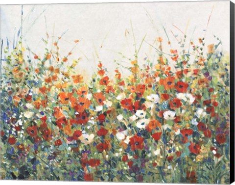 Framed Garden in Bloom I Print
