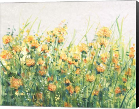 Framed Garden in Bloom IV Print