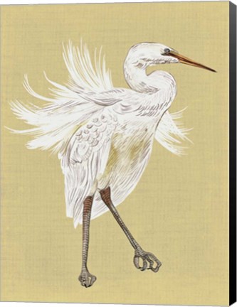 Framed Heron Plumage V Print