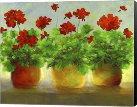 Framed Geraniums III Print