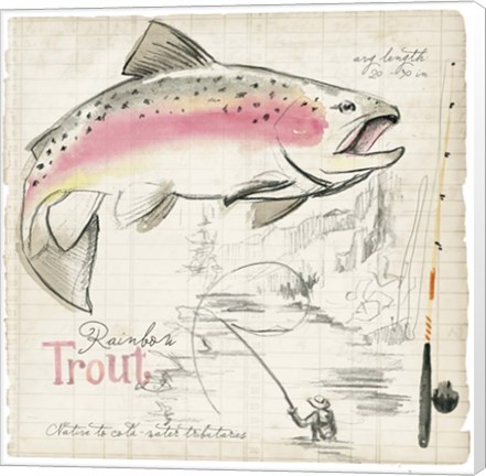 Framed Trout Journal I Print