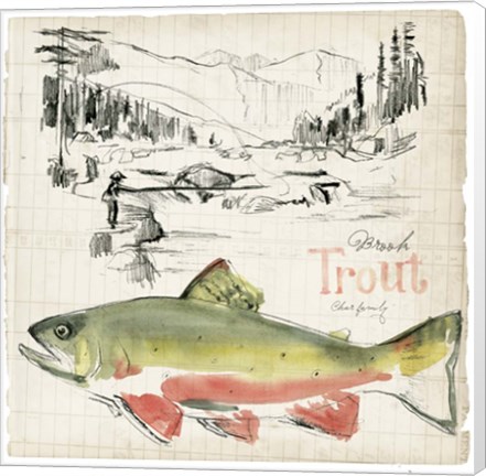 Framed Trout Journal II Print