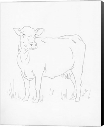 Framed Limousin Cattle II Print