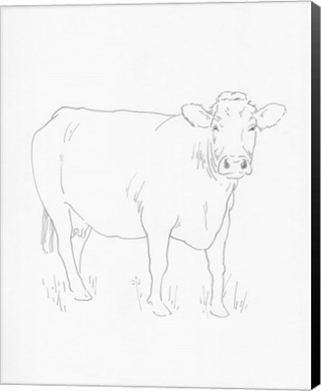 Framed Limousin Cattle III Print