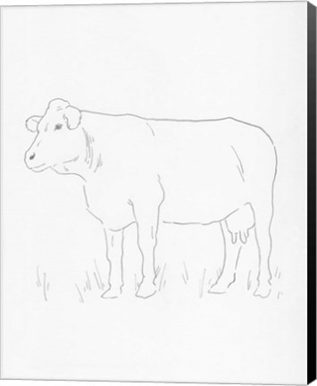 Framed Limousin Cattle IV Print