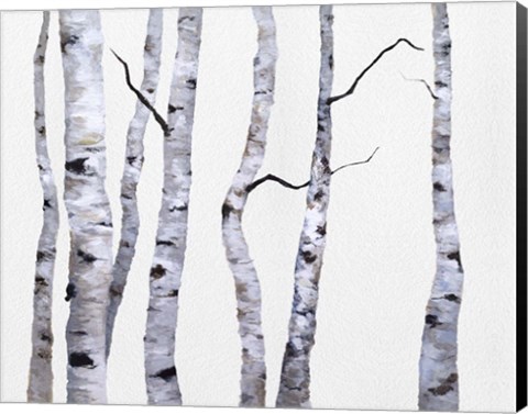 Framed Birch Trees I Print