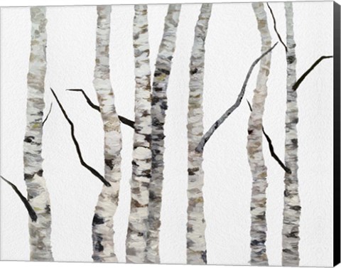 Framed Birch Trees II Print