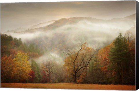 Framed Photography Study Autumn Mist Print