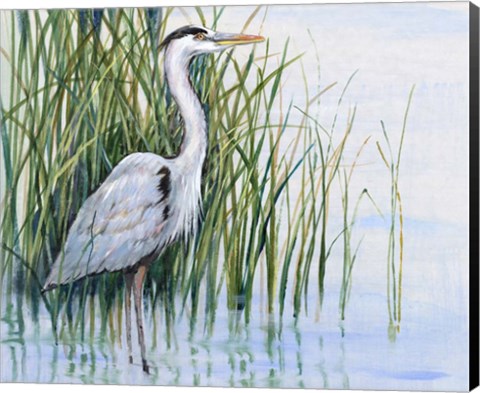 Framed Heron in the Marsh I Print