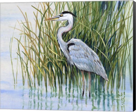 Framed Heron in the Marsh II Print