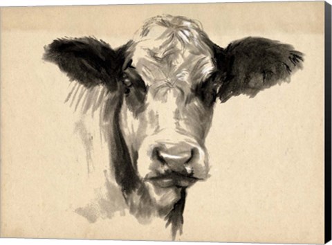 Framed Charcoal Cow II Print