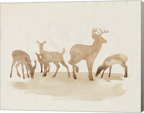 Framed Whitetail Herd II Print