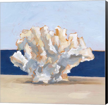 Framed Coral By the Shore II Print