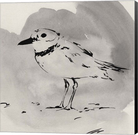 Framed Inky Plover II Print