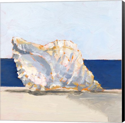 Framed Shell By the Shore III Print