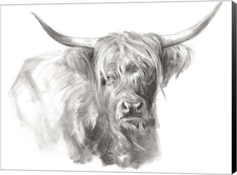 Framed Soft Focus Highland Cattle I Print