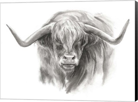 Framed Soft Focus Highland Cattle II Print