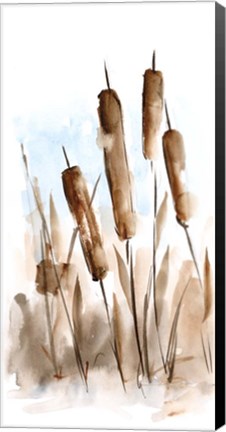 Framed Watercolor Cattail Study II Print