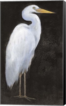 Framed White Heron Portrait I Print