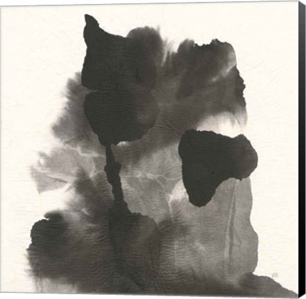 Framed Transitions VII Print