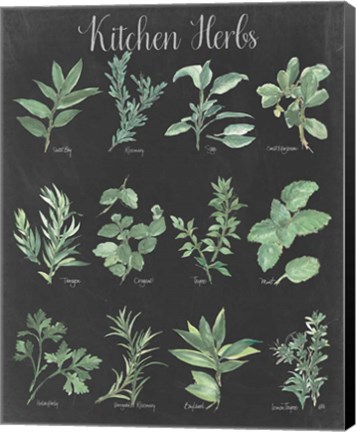 Framed Kitchen Herb Chart on Black II Print