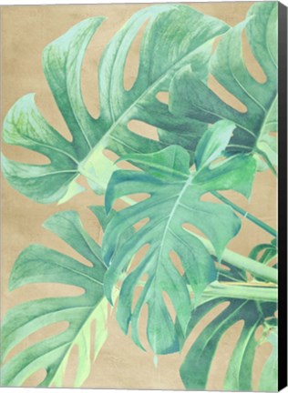 Framed Tropical Leaves II Print