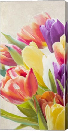 Framed Spring Tulips I Print