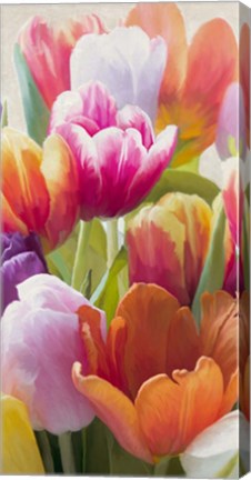 Framed Spring Tulips II Print