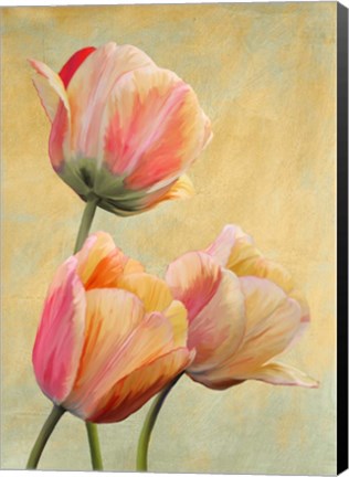 Framed Golden Tulips I Print