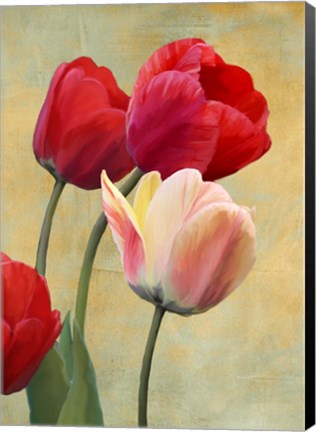 Framed Ruby Tulips Print