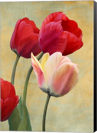 Framed Ruby Tulips Print